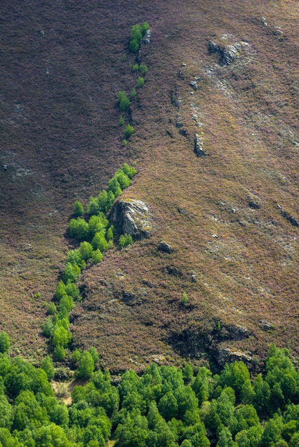 En quoi « Surviving Mars » peut-il être un outil pour comprendre les défis de la colonisation spatiale?